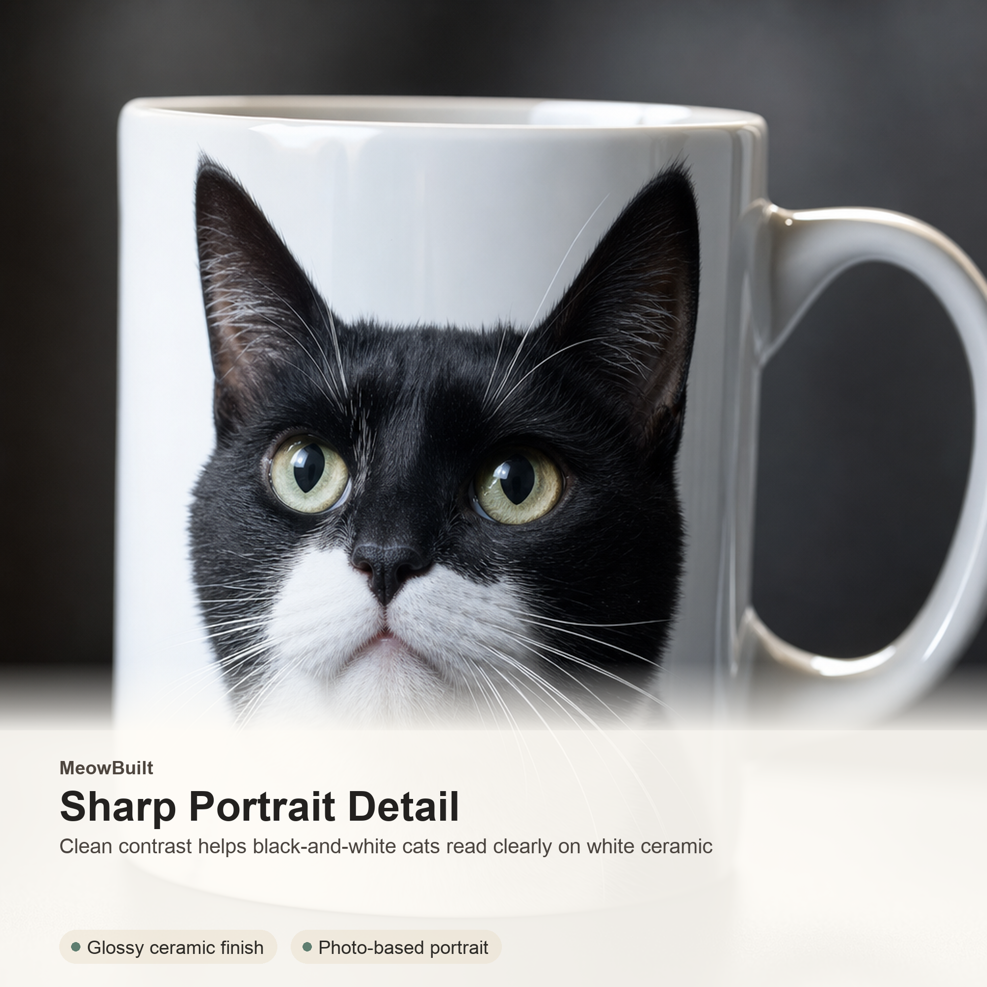 Personalized Cat Dad Mug From Photo